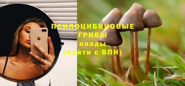 прущая мука Армянск