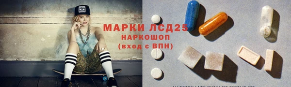 винт Аркадак