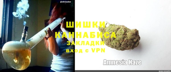 PSILOCYBIN Балабаново