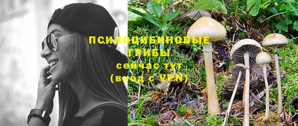 МДПВ Балахна