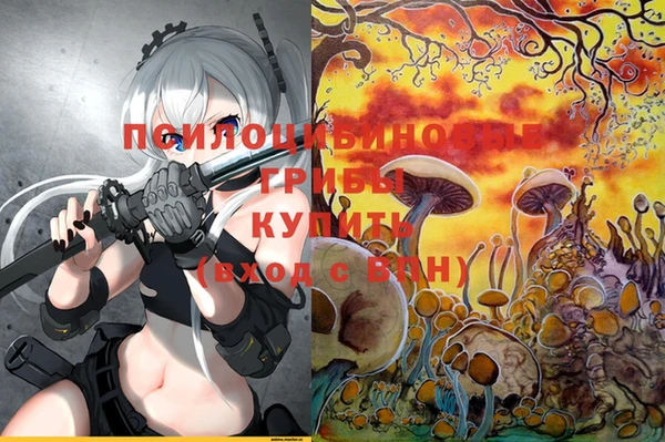 ешки Арсеньев
