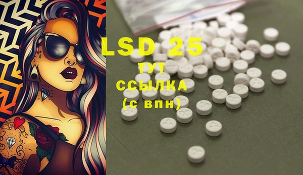 PSILOCYBIN Балабаново
