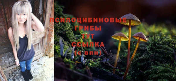 ешки Арсеньев