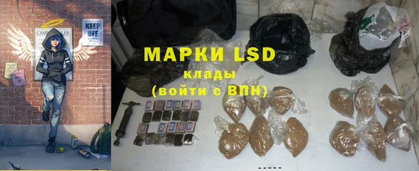 PSILOCYBIN Балабаново